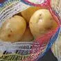 организуем поставку свежего картофеля  в Владивостоке 5