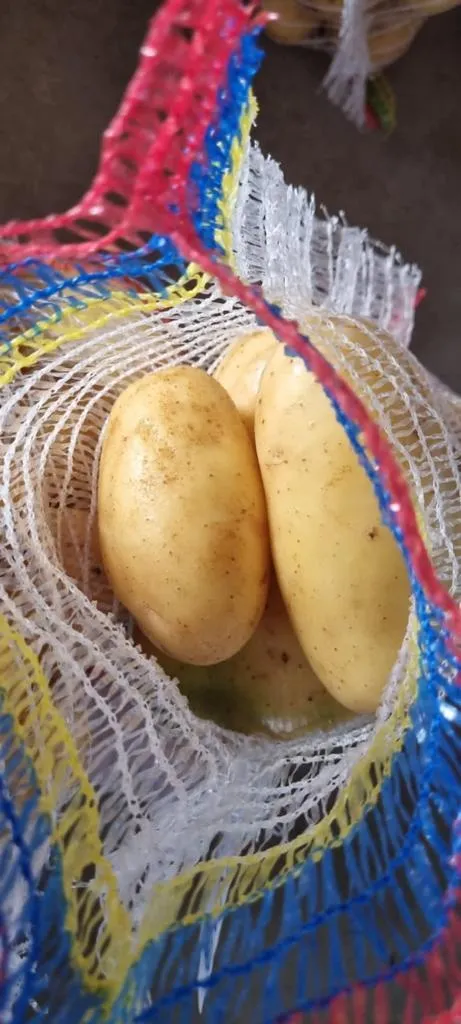организуем поставку свежего картофеля  в Владивостоке