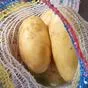 организуем поставку свежего картофеля  в Владивостоке