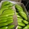 бананы из Эквадора в Владивостоке 13