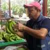 бананы из Эквадора в Владивостоке 15