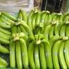 бананы из Эквадора в Владивостоке 9
